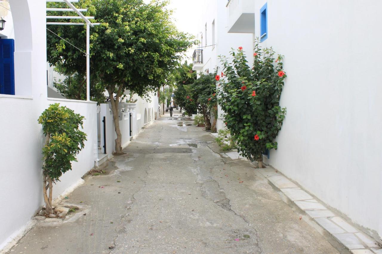 Vasilikos Studios Naxos City Exterior foto